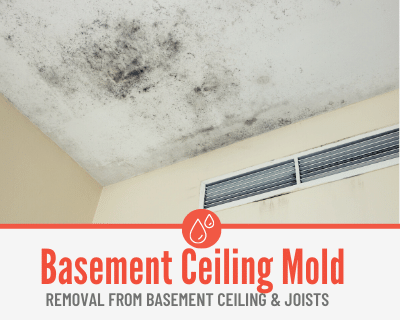 Mold on Basement Ceiling - Removal & Prevention