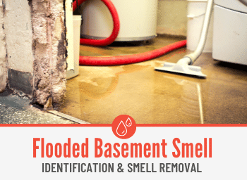 HOW TO GET RID OF FLOODED BASEMENT SMELL