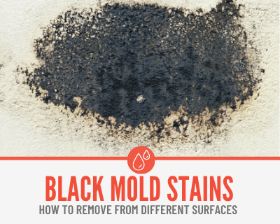How To Remove Black Mold Stains