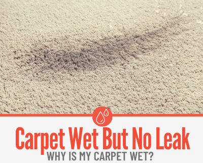 Carpet Wet but No Leak - Why is My Carpet Wet?