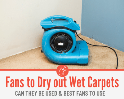 Fans To Dry Out Wet Carpets – How To Use Them & Best Carpet Fans