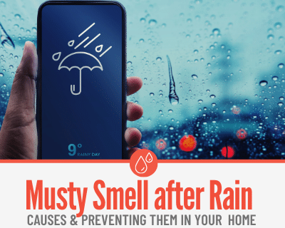 House Smells Musty After Rain -Mildew ,Dampness & Septic Sewage Smells