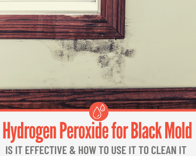 Hydrogen Peroxide to Kill & Clean Black Mold