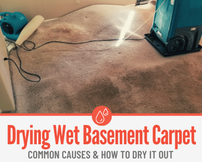Drying out Wet Basement Carpets -After Water Damage ,Rain or Flood (1)