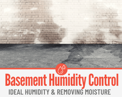 Ideal Basement Humidity Control & Dehumidifier Alternatives to Get Rid of Moisture