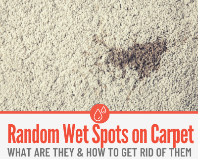 Mysterious Random Wet Spots on Carpet - What are they?