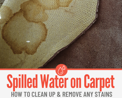 Spilled Water on Carpet - Now What? Cleanup & Smell Removal