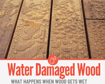 Here's What Happens When Wood Gets Wet & Absorbs Moisture