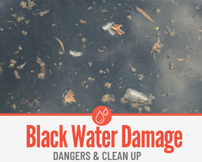 Black Water Damage - Dangers & How To Clean Up Black Water