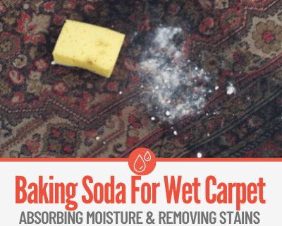 baking soda to dry wet carpets