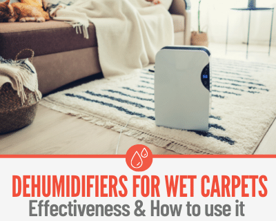How to Use Dehumidifier for Wet Carpets Effectively