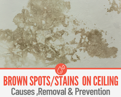 Brown Spots & Stains on Ceiling -Identification & Removal