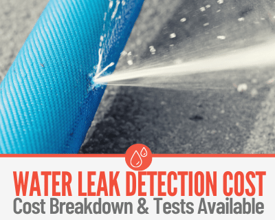 Water Leak Detection Cost EXPLAINED in 2021