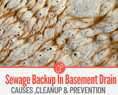 Sewage Backup in Basement Floor Drain - Causes & Cleanup