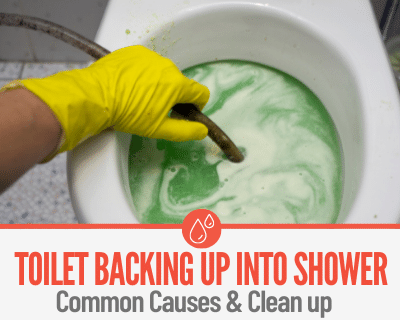 Toilet Backing Up into Shower -Causes, Fixing Clogs & Cleanup