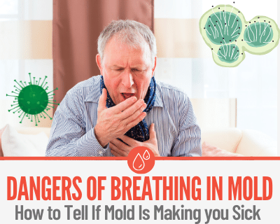 What Happens if you Breathe in Mold & What to Do