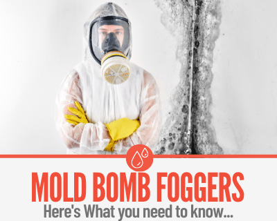 Mold Bomb Foggers - Do they Work & How to Use them Safely