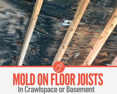 Mold On Floor Joists - Removing from CrawlSpace & Basement