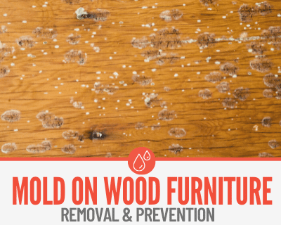How to Remove Mold from Wood Furniture Effectively