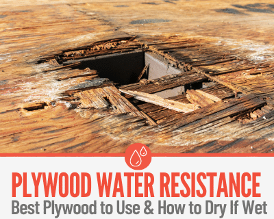 Can Plywood Get Wet + Protecting & Drying out Water Damaged Plywood
