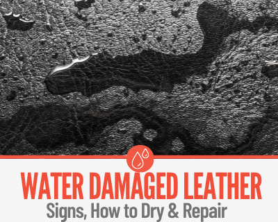 Water Damaged Leather - How to Dry & Repair